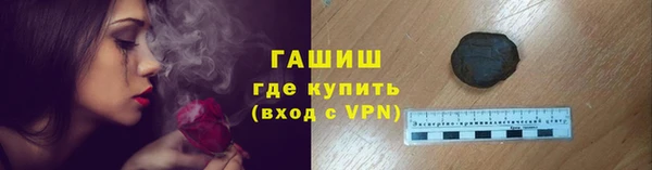 прущие грибы Переславль-Залесский