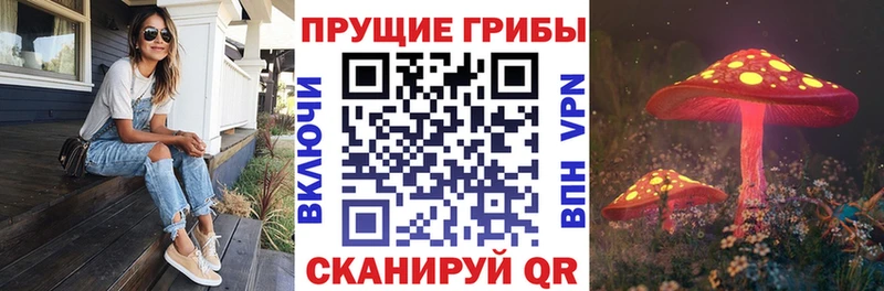 Купить где  Мамоново  Псилоцибиновые грибы мухоморы 